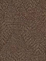 Anderson Tuftex Carpet Ario Fallen Timber 00776_ZZ222