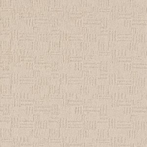 Anderson Tuftex Carpet Diego Haven 00112_ZZ223