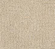Anderson Tuftex Carpet Diego Parchment 00114_ZZ223