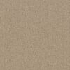 Anderson Tuftex Carpet Diego Antique 00116_ZZ223