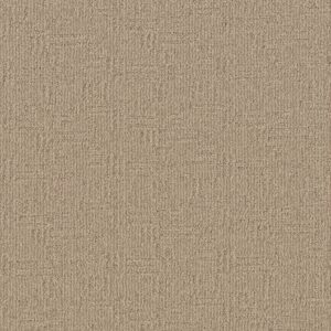 Anderson Tuftex Carpet Diego Antique 00116_ZZ223