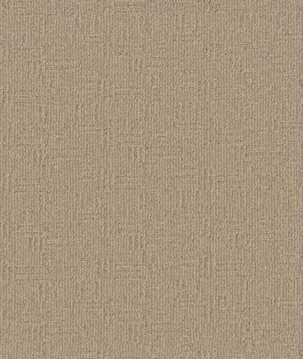 Anderson Tuftex Carpet Diego Antique 00116_ZZ223