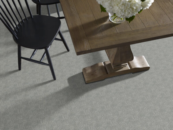Anderson Tuftex Carpet Diego Swept Away 00541_ZZ223 - Image 2