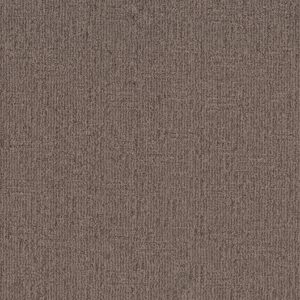Anderson Tuftex Carpet Diego Storm Cloud 00555_ZZ223