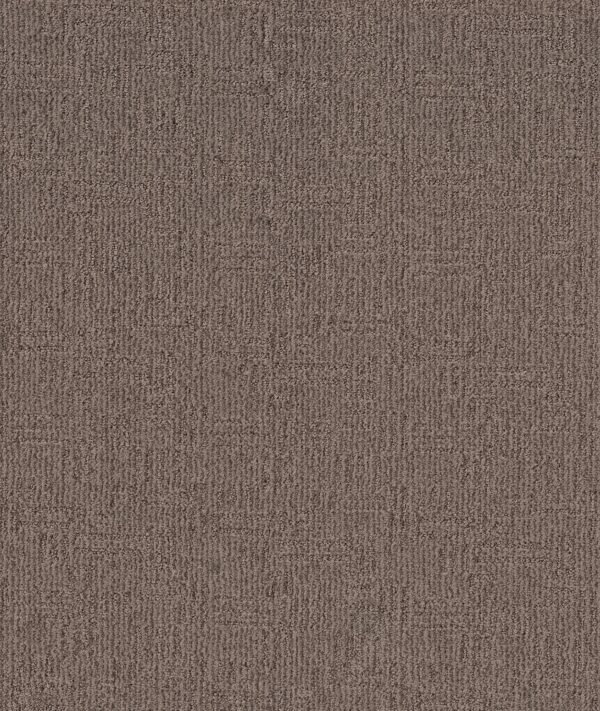 Anderson Tuftex Carpet Diego Storm Cloud 00555_ZZ223