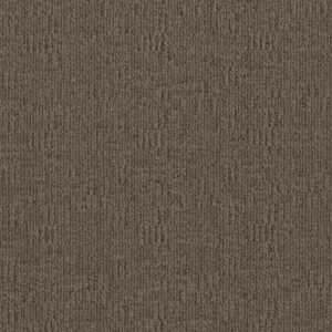 Anderson Tuftex Carpet Diego Apparition 00577_ZZ223