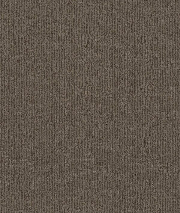 Anderson Tuftex Carpet Diego Apparition 00577_ZZ223