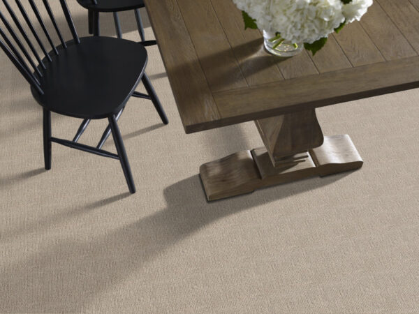 Anderson Tuftex Carpet Diego Adobe Beige 00754_ZZ223 - Image 2