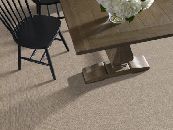Anderson Tuftex Carpet Diego Broken Arrow 00755_ZZ223 - Image 2