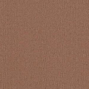 Anderson Tuftex Carpet Diego Desert Beach 00765_ZZ223