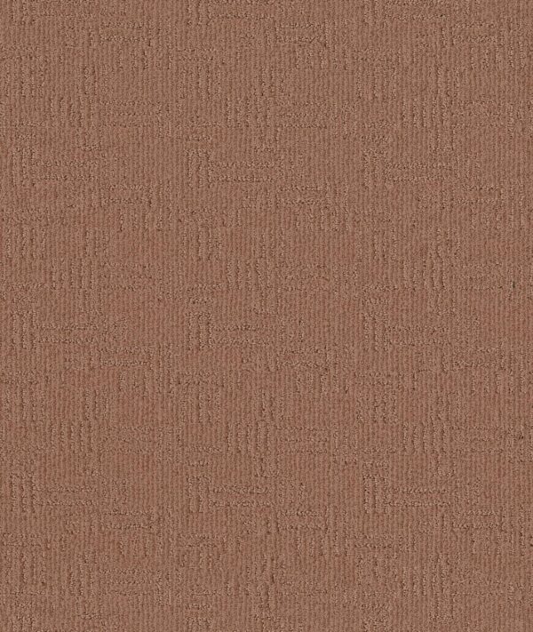 Anderson Tuftex Carpet Diego Desert Beach 00765_ZZ223