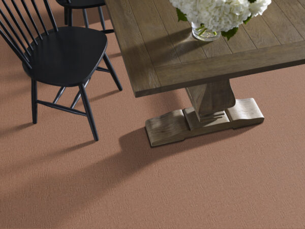 Anderson Tuftex Carpet Diego Desert Beach 00765_ZZ223 - Image 2