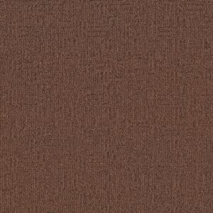 Anderson Tuftex Carpet Diego Fallen Timber 00776_ZZ223