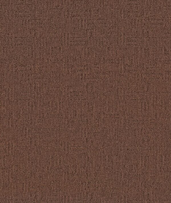 Anderson Tuftex Carpet Diego Fallen Timber 00776_ZZ223