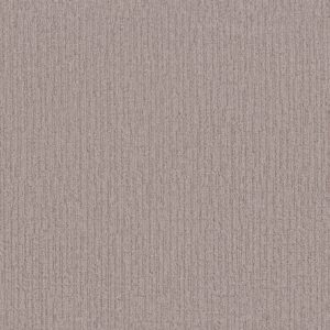 Shaw Floors Carpet Wanderer Antique Pearl 00172_ZZ224