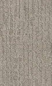Shaw Floors Carpet Wanderer Sage 00352_ZZ224