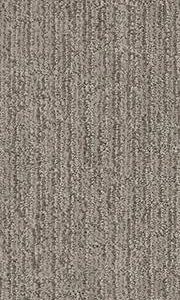 Shaw Floors Carpet Wanderer Horizon 00353_ZZ224