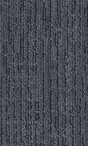 Shaw Floors Carpet Wanderer Stratton 00445_ZZ224