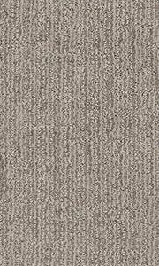 Shaw Floors Carpet Wanderer Moonshine 00523_ZZ224