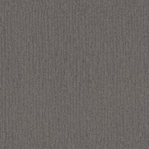 Shaw Floors Carpet Wanderer Storm Cloud 00537_ZZ224