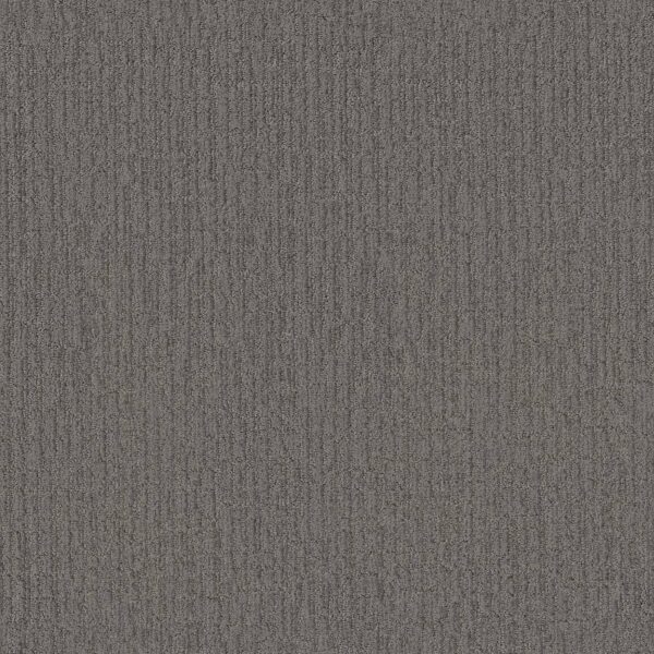 Shaw Floors Carpet Wanderer Storm Cloud 00537_ZZ224