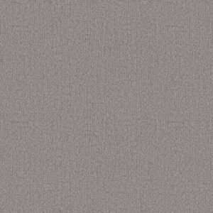 Shaw Floors Carpet Wanderer Heather Gray 00553_ZZ224