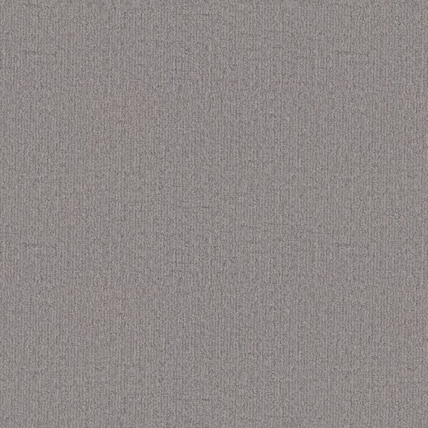 Shaw Floors Carpet Wanderer Heather Gray 00553_ZZ224