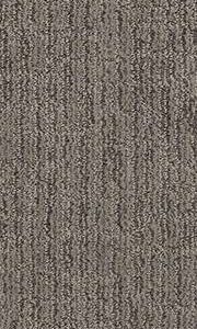 Shaw Floors Carpet Wanderer Sharkskin 00557_ZZ224