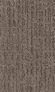 Shaw Floors Carpet Wanderer Portland 00576_ZZ224
