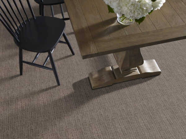 Shaw Floors Carpet Wanderer Portland 00576_ZZ224 - Image 2