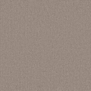 Shaw Floors Carpet Wanderer Plains 00753_ZZ224
