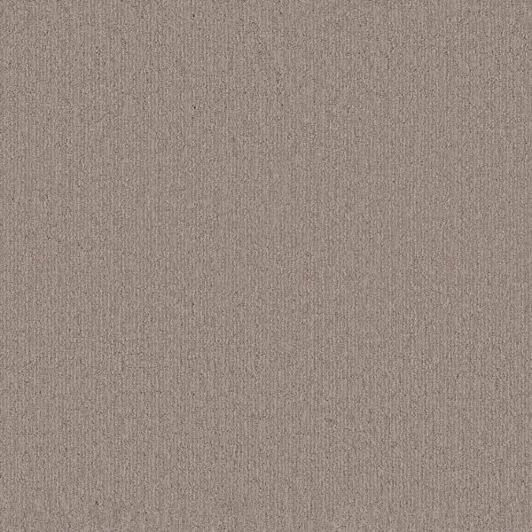 Shaw Floors Carpet Wanderer Plains 00753_ZZ224