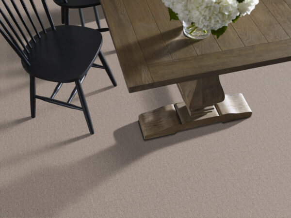 Shaw Floors Carpet Wanderer Plains 00753_ZZ224 - Image 2