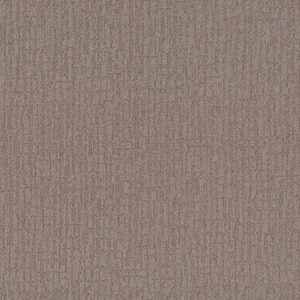 Shaw Floors Carpet Wanderer Driftwood 00755_ZZ224