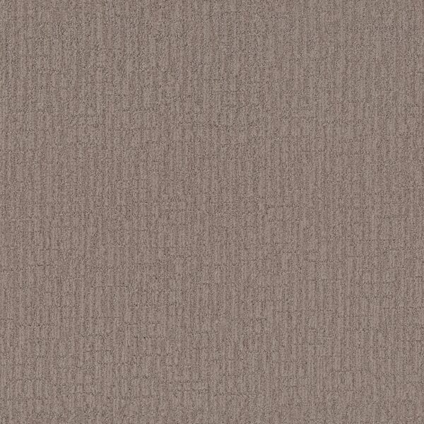 Shaw Floors Carpet Wanderer Driftwood 00755_ZZ224