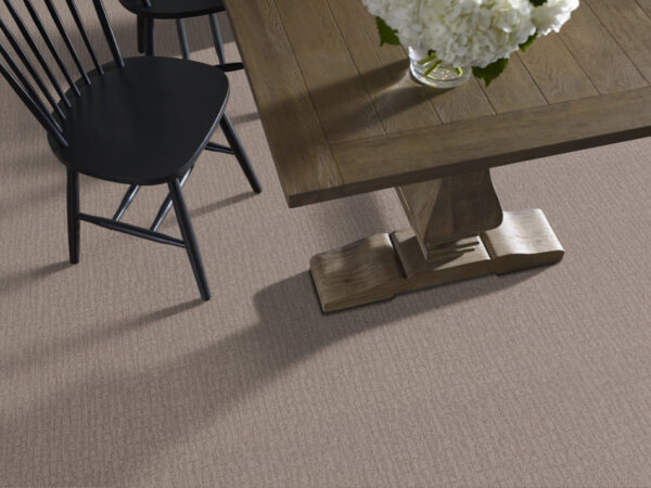 Shaw Floors Carpet Wanderer Driftwood 00755_ZZ224 - Image 2