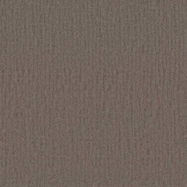 Shaw Floors Carpet Wanderer Mustang 00776_ZZ224