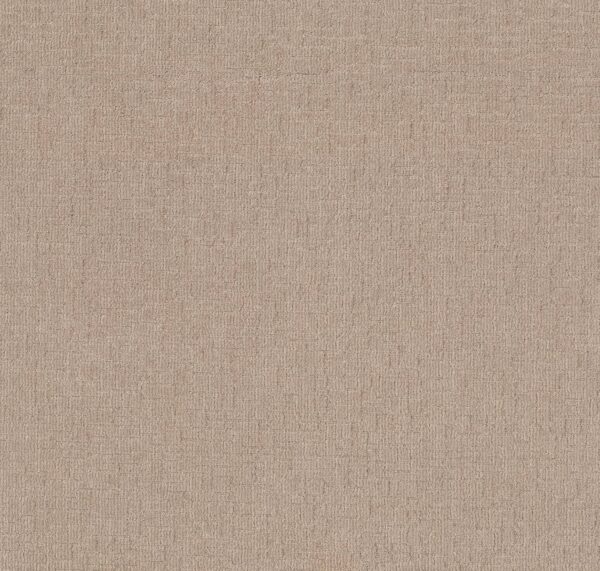 Shaw Floors Carpet Wayfarer Mystic Beige 00123_ZZ225