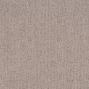 Shaw Floors Carpet Wayfarer Antique Pearl 00172_ZZ225