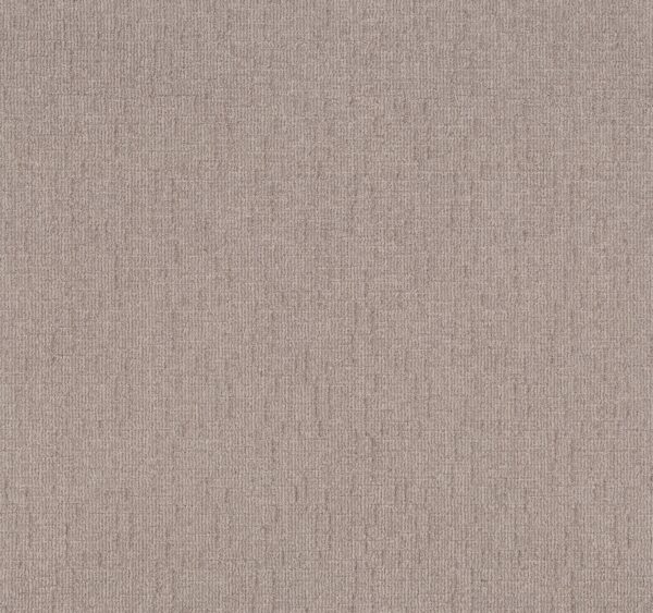 Shaw Floors Carpet Wayfarer Antique Pearl 00172_ZZ225