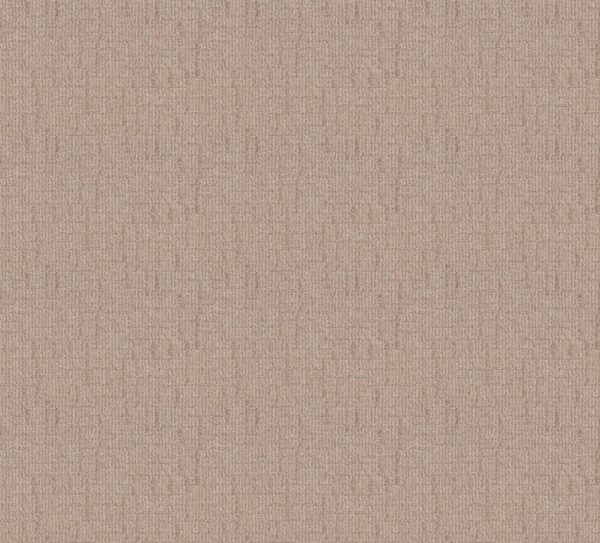 Shaw Floors Carpet Wayfarer Straw 00272_ZZ225