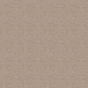 Shaw Floors Carpet Wayfarer Peanut Shell 00273_ZZ225