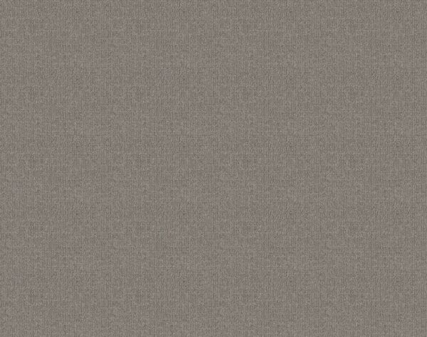 Shaw Floors Carpet Wayfarer Horizon 00353_ZZ225