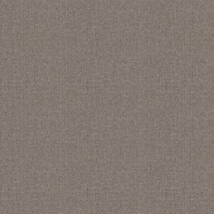 Shaw Floors Carpet Wayfarer Calm 00512_ZZ225
