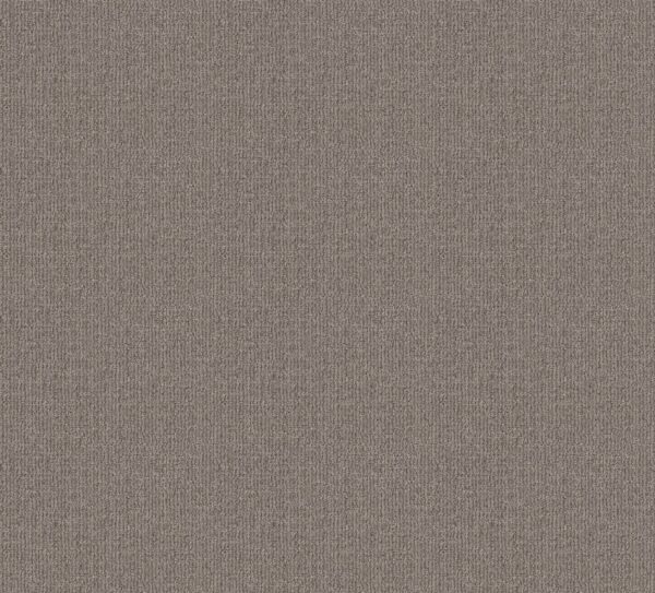 Shaw Floors Carpet Wayfarer Calm 00512_ZZ225