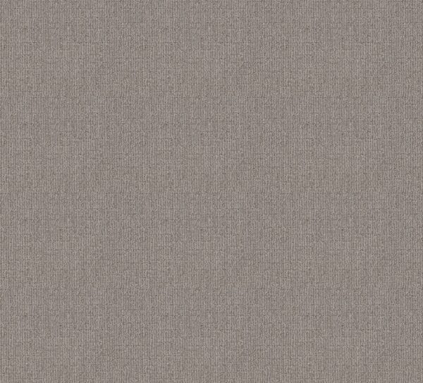 Shaw Floors Carpet Wayfarer Moonshine 00523_ZZ225