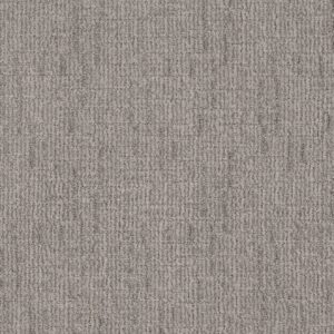 Shaw Floors Carpet Wayfarer Heather Gray 00553_ZZ225