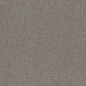 Shaw Floors Carpet Wayfarer Sea Haze 00555_ZZ225
