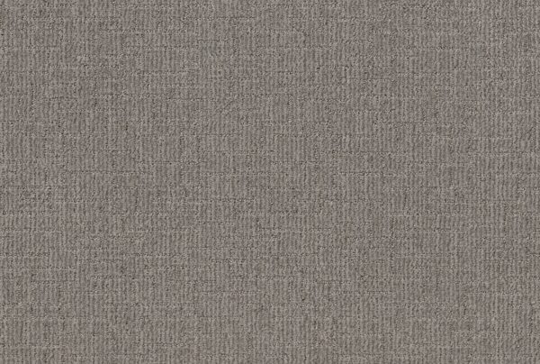 Shaw Floors Carpet Wayfarer Sea Haze 00555_ZZ225