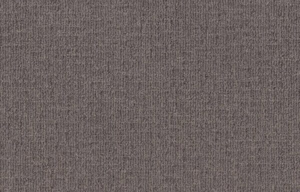 Shaw Floors Carpet Wayfarer Portland 00576_ZZ225